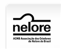 nelore