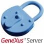 seguridad gxserver